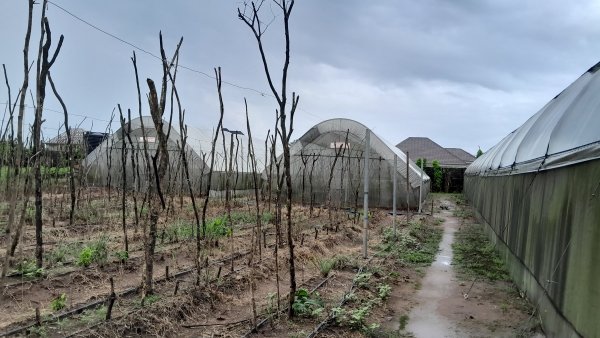 Climate Change, Food Security, Sustainable Farming, One Foundation, Nigeria