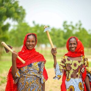 How One Foundation is Responding to Food Crises in Nigeria