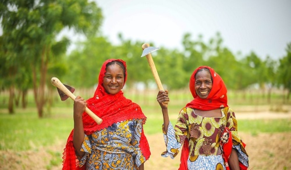 How One Foundation is Responding to Food Crises in Nigeria