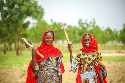 How One Foundation is Responding to Food Crises in Nigeria