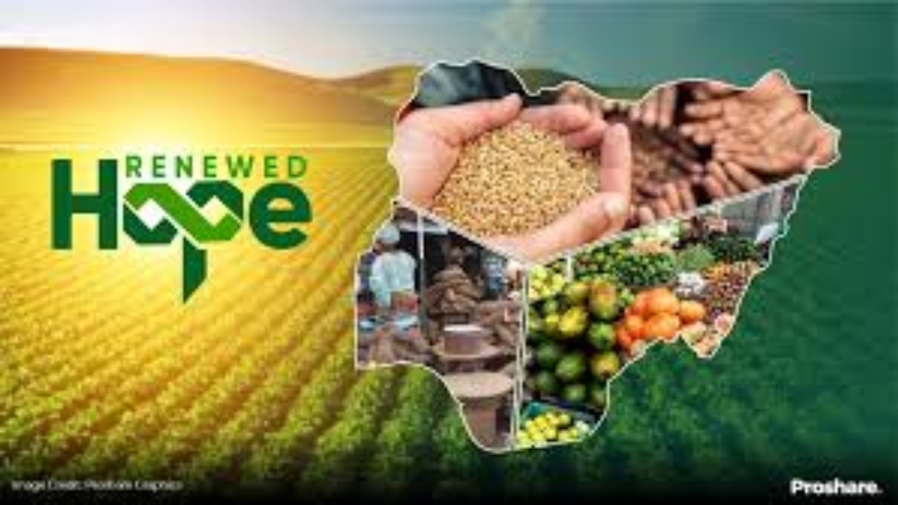 Renewed Hope Agenda: Ensuring Food Security with One Foundation