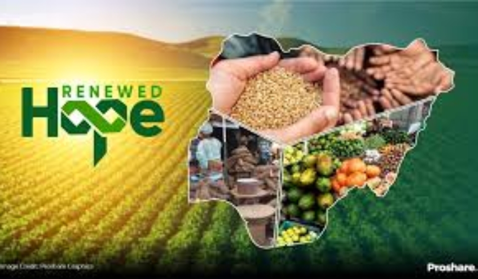 Renewed Hope Agenda: Ensuring Food Security with One Foundation