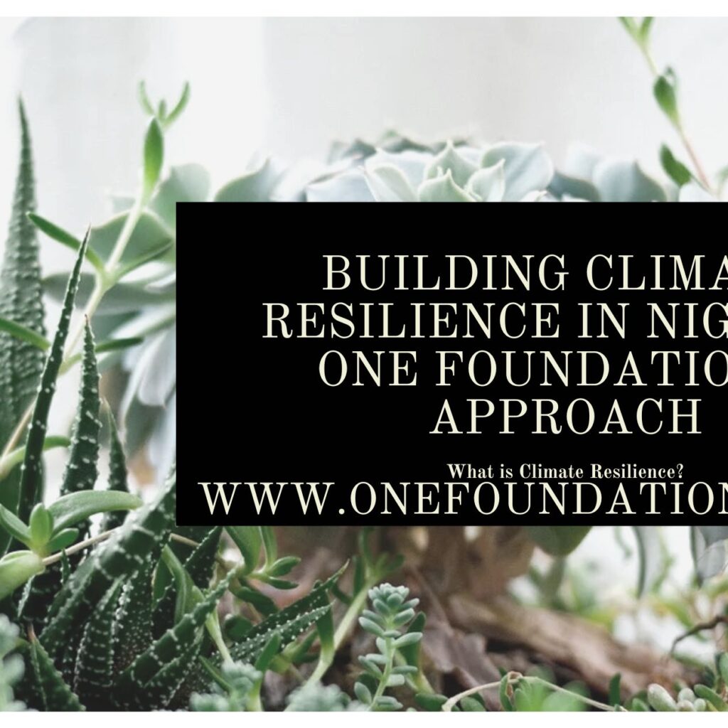 Building Climate Resilience in Nigeria: One Foundation’s Approach