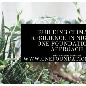 Building Climate Resilience in Nigeria: One Foundation’s Approach