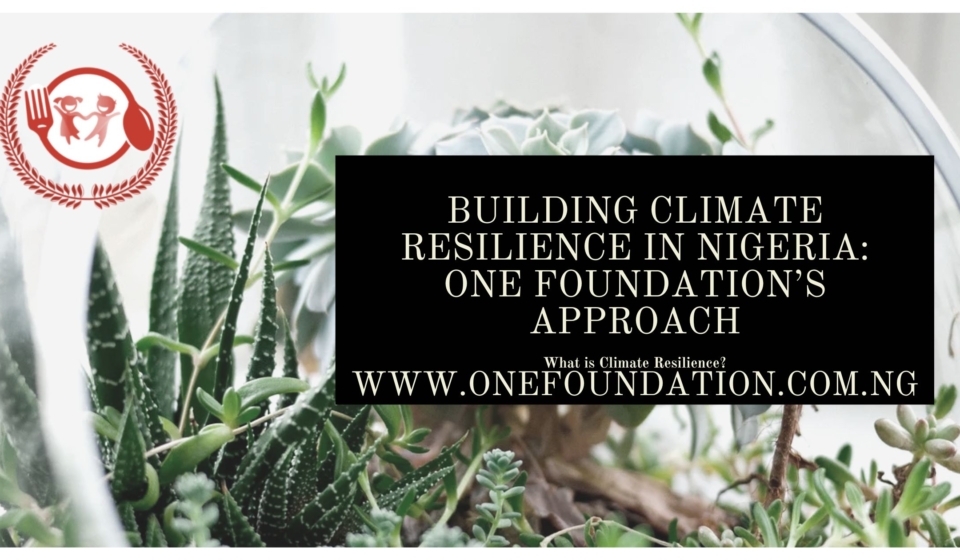 Building Climate Resilience in Nigeria: One Foundation’s Approach