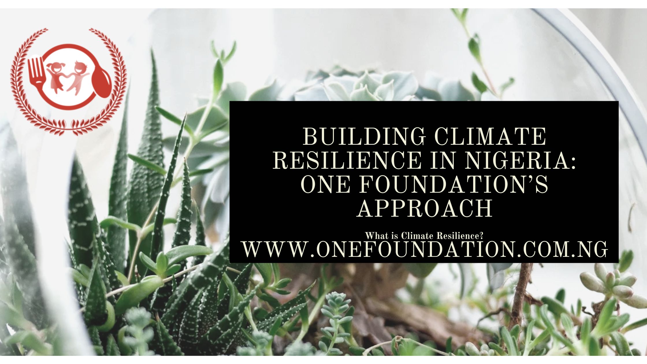 Building Climate Resilience in Nigeria: One Foundation’s Approach