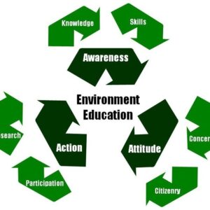 How Environmental Education Can Build a Sustainable Future in Nigeria