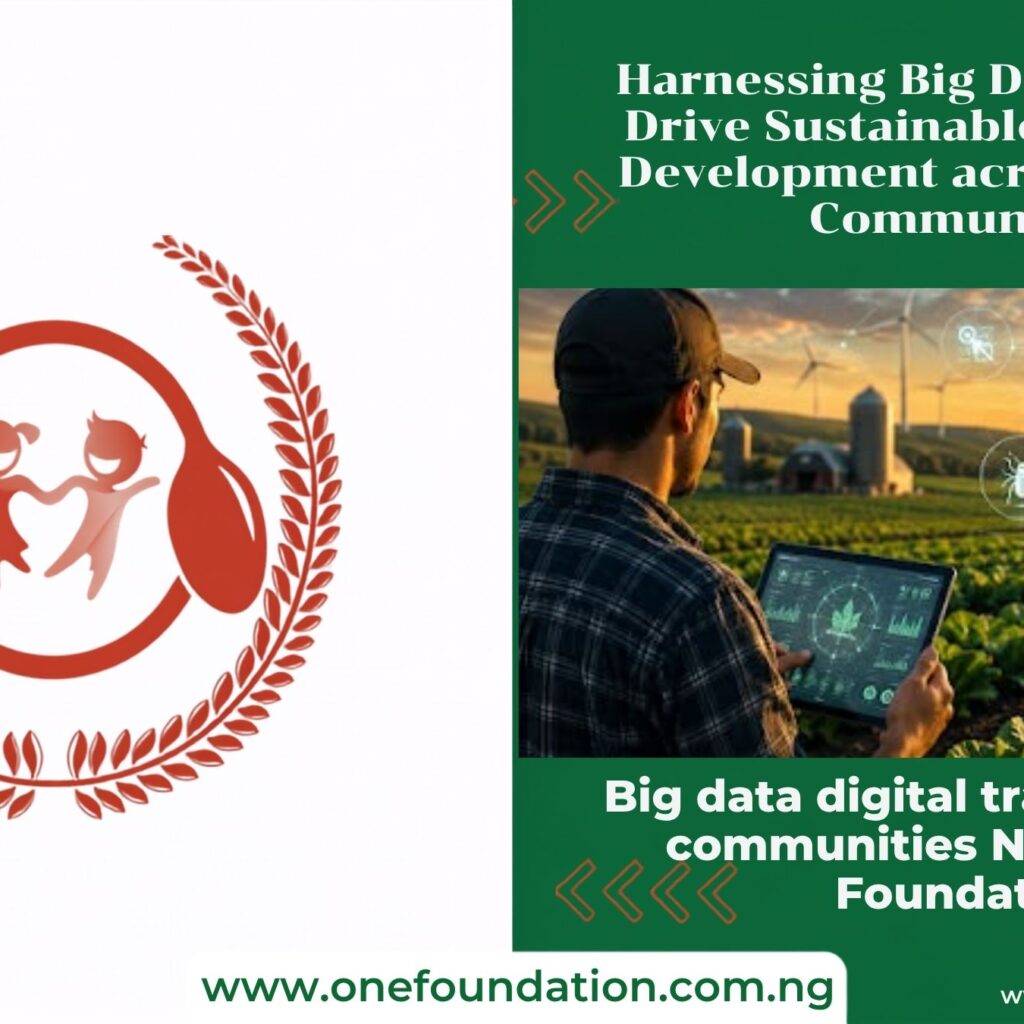 Big data digital transformation communities Nigeria ONE Foundation