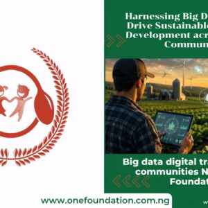 Big data digital transformation communities Nigeria ONE Foundation
