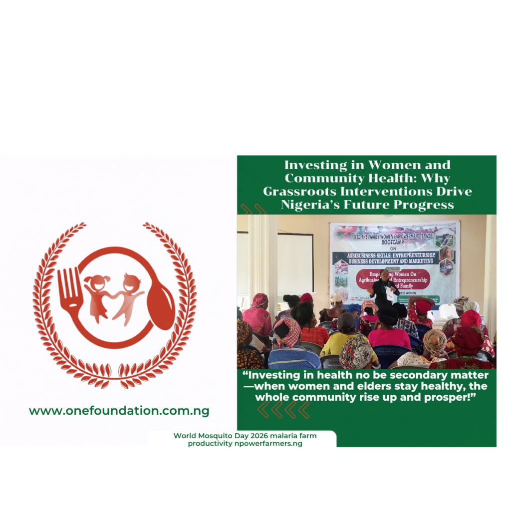 Investing in Women and Community Health: Why Grassroots Interventions Drive Nigeria’s Future Progress