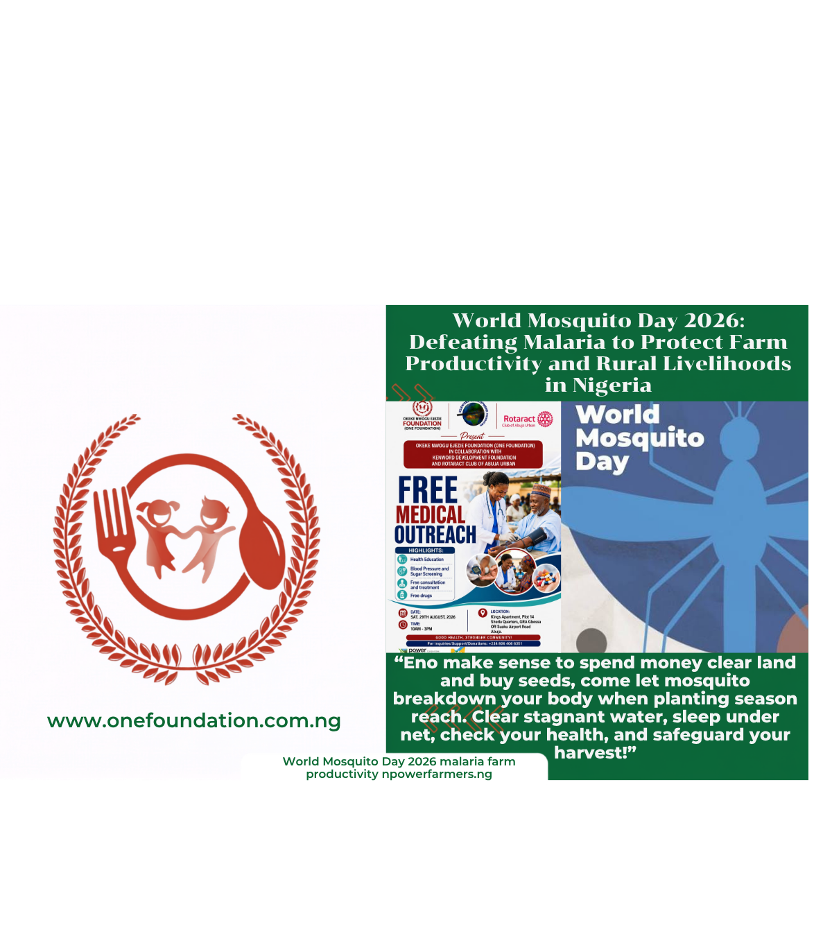 World Mosquito Day 2026: Defeating Malaria to Protect Farm Productivity and Rural Livelihoods in Nigeria
